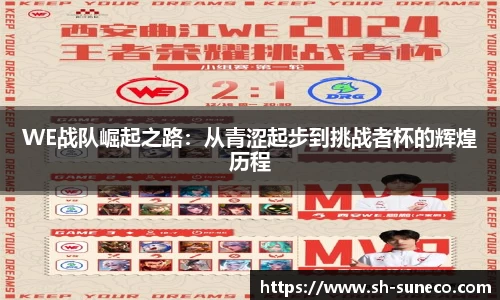 米兰体育网址