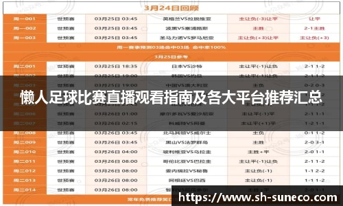 懒人足球比赛直播观看指南及各大平台推荐汇总