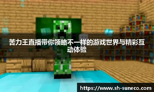 苦力王直播带你领略不一样的游戏世界与精彩互动体验
