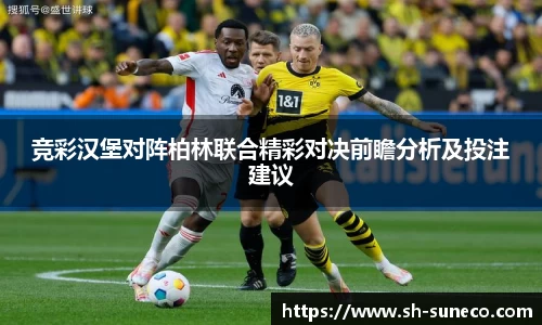 球王会网站